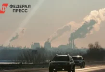 Минусинск и Иркутская область находятся под защитой экослужб minusinsk i irkutskaya oblast nahodyatsya pod zashhitoj ekosluzhb-ekbonline-ru-0