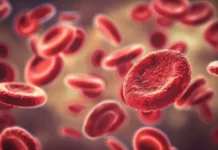 НИЯУ МИФИ и Университет Оулу изучают управление эритроцитами с помощью лазера niyau mifi i universitet oulu izuchayut upravlenie eritroczitami s pomoshhyu lazera-ekbonline-ru-0