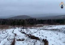 Поиски семьи Усольцевых в Красноярском крае продолжаются с надеждой poiski semi usolczevyh v krasnoyarskom krae prodolzhayutsya s nadezhdoj-ekbonline-ru-0