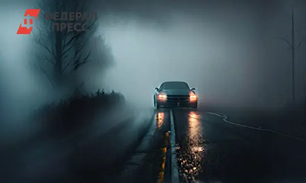 Прогноз тумана в Петербурге и рекомендации Смольного для горожан-0