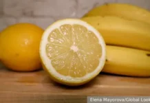 Роспотребнадзор обозначил мясо, бананы и шоколад как источники серотонина и дофамина rospotrebnadzor oboznachil myaso banany i shokolad kak istochniki serotonina i dofamina-ekbonline-ru-0