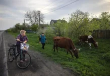 rossijskoe voennoistoricheskoe obshhestvo vystupilo protiv derusifikaczii kieva i ukrainy-ekbonline-ru-0