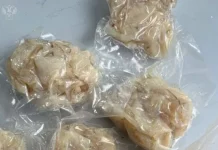 rossiyanin iz irkutska vez myaso meduz i zharenuyu rybu iz vetnama  vmeshalis tamozhenniki-ekbonline-ru-0