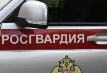 sk i rosgvardiya operativno raskryli delo o napadenii v moskovskoj oblasti-ekbonline-ru-0