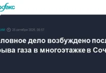 СК РФ усиливает помощь Сочи после взрыва газа, поддерживая жителей края sk rf usilivaet pomoshh sochi posle vzryva gaza podderzhivaya zhitelej kraya-ekbonline-ru-0