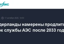 Строительство новых ядерных реакторов в Нидерландах и будущее АЭС "Борселе" stroitelstvo novyh yadernyh reaktorov v niderlandah i budushhee aes borsele-ekbonline-ru-0