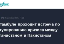 Уверенные шаги Афганистана и Пакистана на переговорах в Стамбуле uverennye shagi afganistana i pakistana na peregovorah v stambule-ekbonline-ru-0