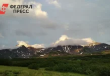 В 2026 году в Камчатке обновят интернет-кабель после согласования v 2026 godu v kamchatke obnovyat internetkabel posle soglasovaniya-ekbonline-ru-0