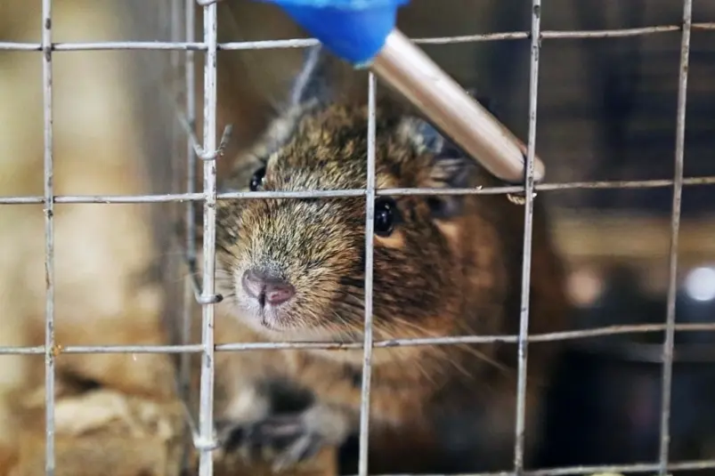 Фото: primamedia.ru