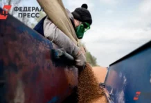 vladimir chejmetov rasskazyvaet o rapse i zernovyh kulturah tyumenskoj oblasti-ekbonline-ru-0