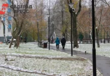 Югра встречает зиму с теплом и особенностями погоды в ХМАО и Западной Сибири yugra vstrechaet zimu s teplom i osobennostyami pogody v hmao i zapadnoj sibiri-ekbonline-ru-0