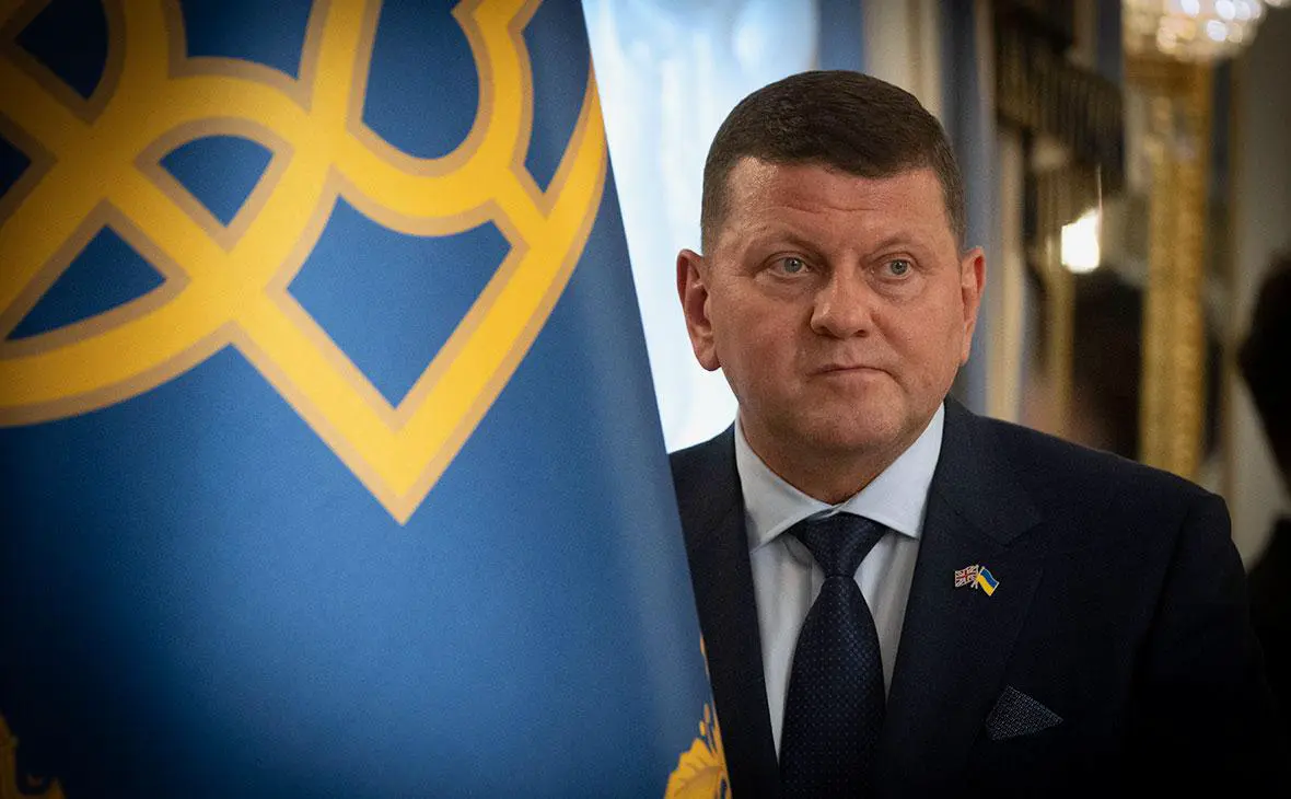 Валерий Залужный (Ефрем Лукацкий / AP / ТАСС)