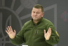 Апти Алаудинов высказал мнение о возможной замене Зеленского на Залужного apti alaudinov vyskazal mnenie o vozmozhnoj zamene zelenskogo na zaluzhnogo-ekbonline-ru-0