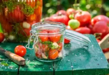 Елена Соломатина рассказала, как безопасно заготавливать грибы и консервы elena solomatina rasskazala kak bezopasno zagotavlivat griby i konservy-ekbonline-ru-0