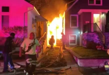 Геройский голдендудль Чейз и пожарные Лонг-Бич спасают жизни gerojskij goldendudl chejz i pozharnye longbich spasayut zhizni-ekbonline-ru-0