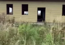 Ирина Волк рассказала о раскрытии крупной аферы мошенников в МВД irina volk rasskazala o raskrytii krupnoj afery moshennikov v mvd-ekbonline-ru-0