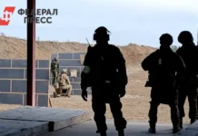 Изменения в Донецком направлении касаются средств ПВО и ракетных войск ВС РФ izmeneniya v doneczkom napravlenii kasayutsya sredstv pvo i raketnyh vojsk vs rf-ekbonline-ru-0