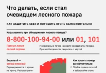 МЧС сообщает, что пограничный округ Приморья готов к пожароопасному периоду mchs soobshhaet chto pogranichnyj okrug primorya gotov k pozharoopasnomu periodu-ekbonline-ru-0