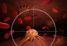 Наночастицы кремния от НИЯУ МИФИ помогают выявить опухоли в оптике nanochasticzy kremniya ot niyau mifi pomogayut vyyavit opuholi v optike-ekbonline-ru-0