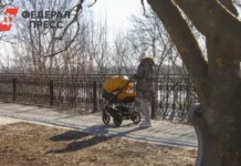 Программы ранней помощи для детей в Красноярском крае поддерживают семьи programmy rannej pomoshhi dlya detej v krasnoyarskom krae podderzhivayut semi-ekbonline-ru-0