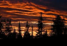 Сергей Землянский делится надеждами на спасение семьи Усольцевых в Красноярском крае sergej zemlyanskij delitsya nadezhdami na spasenie semi usolczevyh v krasnoyarskom krae-ekbonline-ru-0