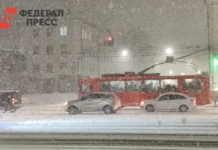 В Челябинской области ожидаются снег, дождь и гололед с потеплением v chelyabinskoj oblasti ozhidayutsya sneg dozhd i gololed s potepleniem-ekbonline-ru-0