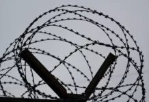 В Приморье вынесен приговор за наркотики по Уголовному кодексу РФ v primore vynesen prigovor za narkotiki po ugolovnomu kodeksu rf-ekbonline-ru-0