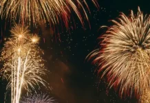 Дмитрий Бондарь разъясняет КоАП РФ о встрече Нового года без штрафов dmitrij bondar razyasnyaet koap rf o vstreche novogo goda bez shtrafov-ekbonline-ru-0