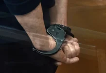 fsb rossii i rosgvardiya zaderzhali tigrana oganesyana v shhekino  raskryty podrobnosti-ekbonline-ru-0