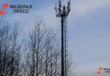 YADRO и Дмитрий Григоренко начали серийное производство базовых станций для Билайн и Мегафон i dmitrij grigorenko nachali serijnoe proizvodstvo bazovyh stanczij dlya bilajn i megafon-ekbonline-ru-0