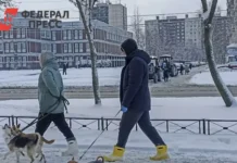 Инцидент с владельцем собаки в ветеринарной клинике Сургута и реакция персонала inczident s vladelczem sobaki v veterinarnoj klinike surguta i reakcziya personala-ekbonline-ru-0