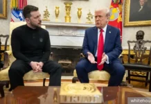 Интриги вокруг урегулирования конфликта: позиции Трампа, Зеленского и Путина intrigi vokrug uregulirovaniya konflikta poziczii trampa zelenskogo i putina-ekbonline-ru-0