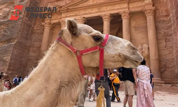 Китай, Саудовская Аравия и Иордания предлагают безвиз для туристов от МИД РФ-0