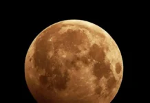 Луна с Плеядами подарит редкое новогоднее зрелище по данным НГУ luna s pleyadami podarit redkoe novogodnee zrelishhe po dannym ngu-ekbonline-ru-0