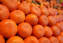 Мандарины с веточкой? Глеб Астафьев и Роскачество развенчивают миф mandariny s vetochkoj gleb astafev i roskachestvo razvenchivayut mif-ekbonline-ru-0