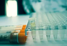 МГУ и Никита Гудимчук работают над поиском новых противораковых молекул mgu i nikita gudimchuk rabotayut nad poiskom novyh protivorakovyh molekul-ekbonline-ru-0