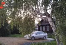 Министерство цифрового развития Красноярского края ускоряет цифровизацию сельских населённых пунктов ministerstvo czifrovogo razvitiya krasnoyarskogo kraya uskoryaet czifrovizacziyu selskih naselyonnyh punktov-ekbonline-ru-0