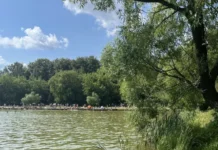 Мониторинг Microcystis aeruginosa и микроцистинов в Мещерском пруду monitoring i mikroczistinov v meshherskom prudu-ekbonline-ru-0