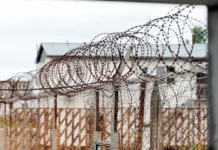 Моряк из Владивостока и деятельность Пограничного управления ФСБ по Приморью обеспечивают надежную защиту границ moryak iz vladivostoka i deyatelnost pogranichnogo upravleniya fsb po primoryu obespechivayut nadezhnuyu zashhitu granicz-ekbonline-ru-0