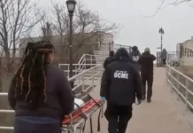 На пляже Кони-Айленда в Нью-Йорке обнаружили удивительный скелет na plyazhe koniajlenda v nyujorke obnaruzhili udivitelnyj skelet-ekbonline-ru-0