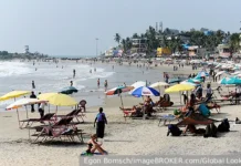 Нарендра Моди и Владимир Путин открывают новую эру в отношениях России и Индии narendra modi i vladimir putin otkryvayut novuyu eru v otnosheniyah rossii i indii-ekbonline-ru-0