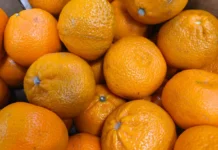 Обзор цен и рынков на мандарины во Владивостоке к Новому году obzor czen i rynkov na mandariny vo vladivostoke k novomu godu-ekbonline-ru-0