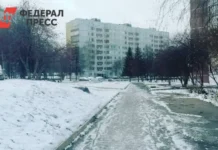 Почему Нассоло Найва выбрала жизнь в Новосибирске и осталась здесь pochemu nassolo najva vybrala zhizn v novosibirske i ostalas zdes-ekbonline-ru-0