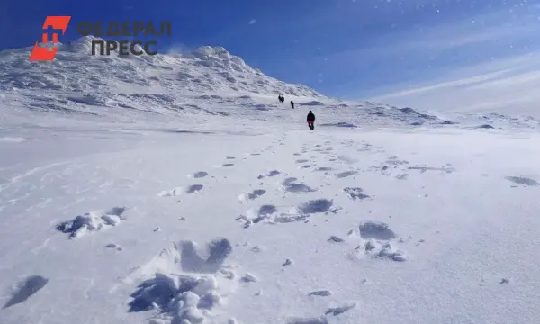 Поиски туристов из Свердловской области на снегоходах у горы Ослянка-0