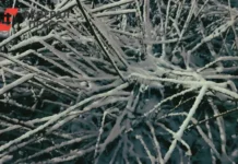 Примгидромет дает оптимистичный прогноз о потеплении погоды в Приморье primgidromet daet optimistichnyj prognoz o poteplenii pogody v primore-ekbonline-ru-0