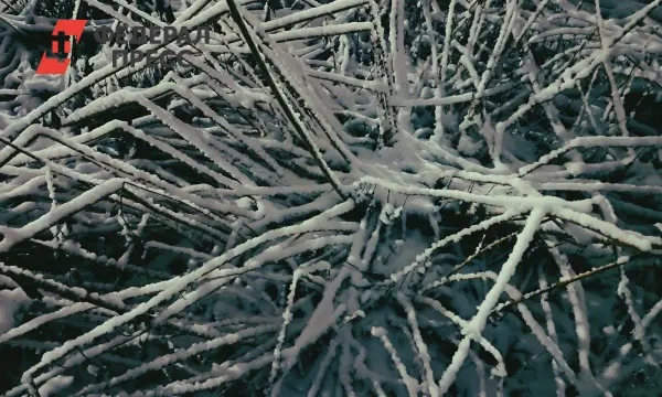 Примгидромет дает оптимистичный прогноз о потеплении погоды в Приморье-0