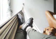 Радость 6 декабря в России и Колумбии отмечают День лентяя и День рыжих мыслей radost 6 dekabrya v rossii i kolumbii otmechayut den lentyaya i den ryzhih myslej-ekbonline-ru-0