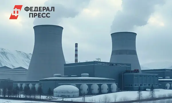 Россия и Турция совместно инвестируют 9 млрд долларов в АЭС «Аккую»-0