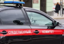 СК России раскрывает новые детали дела богородского маньяка в Московской области sk rossii raskryvaet novye detali dela bogorodskogo manyaka v moskovskoj oblasti-ekbonline-ru-0