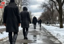 В Петербурге ожидается оттепель и дождь, сообщает Мойка78 v peterburge ozhidaetsya ottepel i dozhd soobshhaet mojka78-ekbonline-ru-0